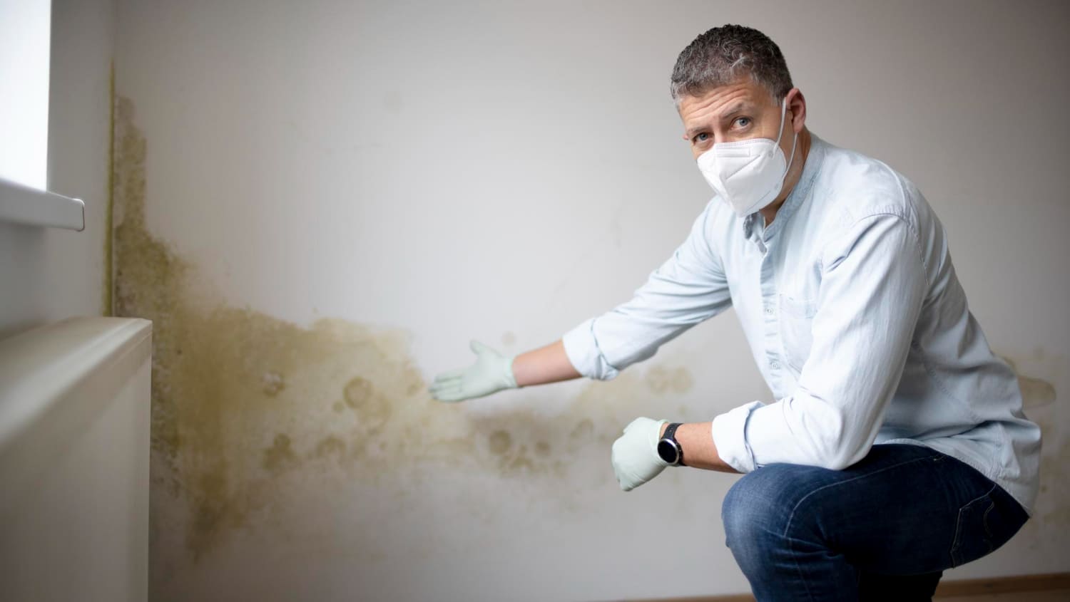 Mold Treatment Services