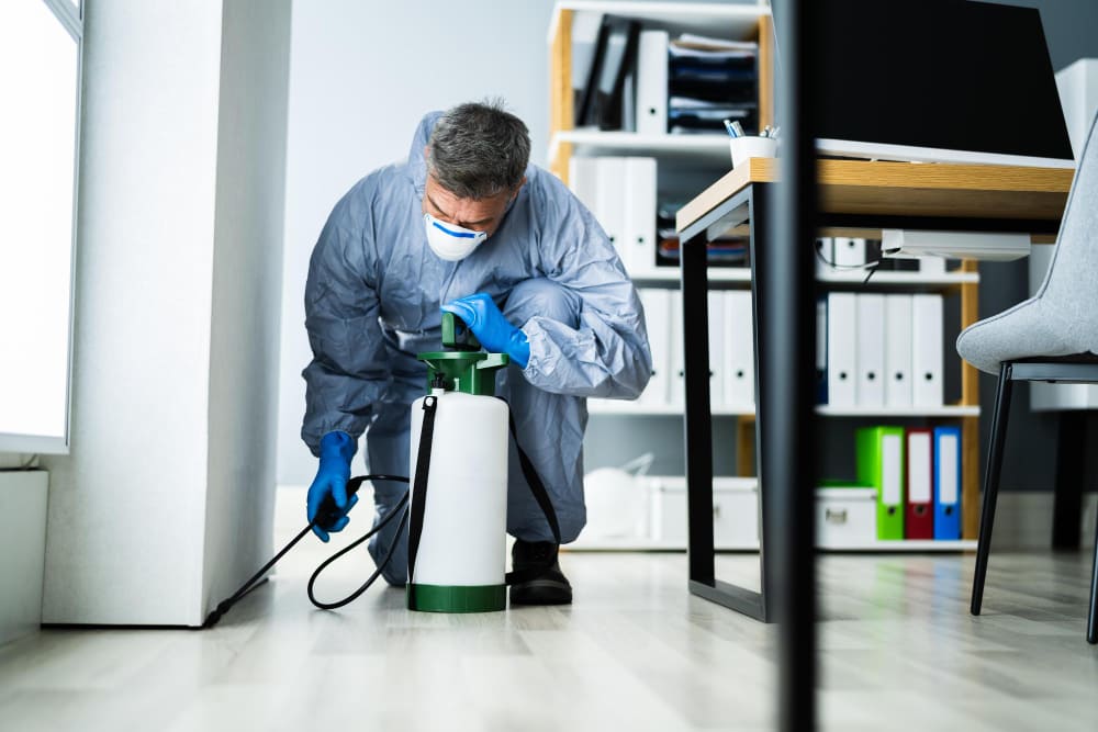 Pest Control Services in Qatar